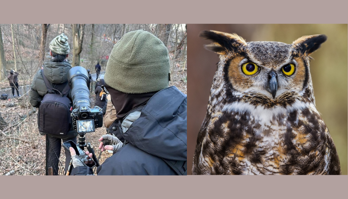 Flaco the Owl Died